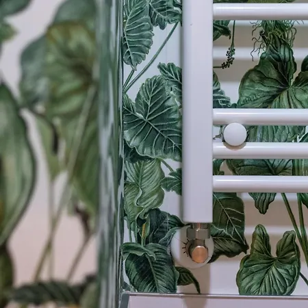 Amplio Y Acogedor Junto Al Ayuntamiento *